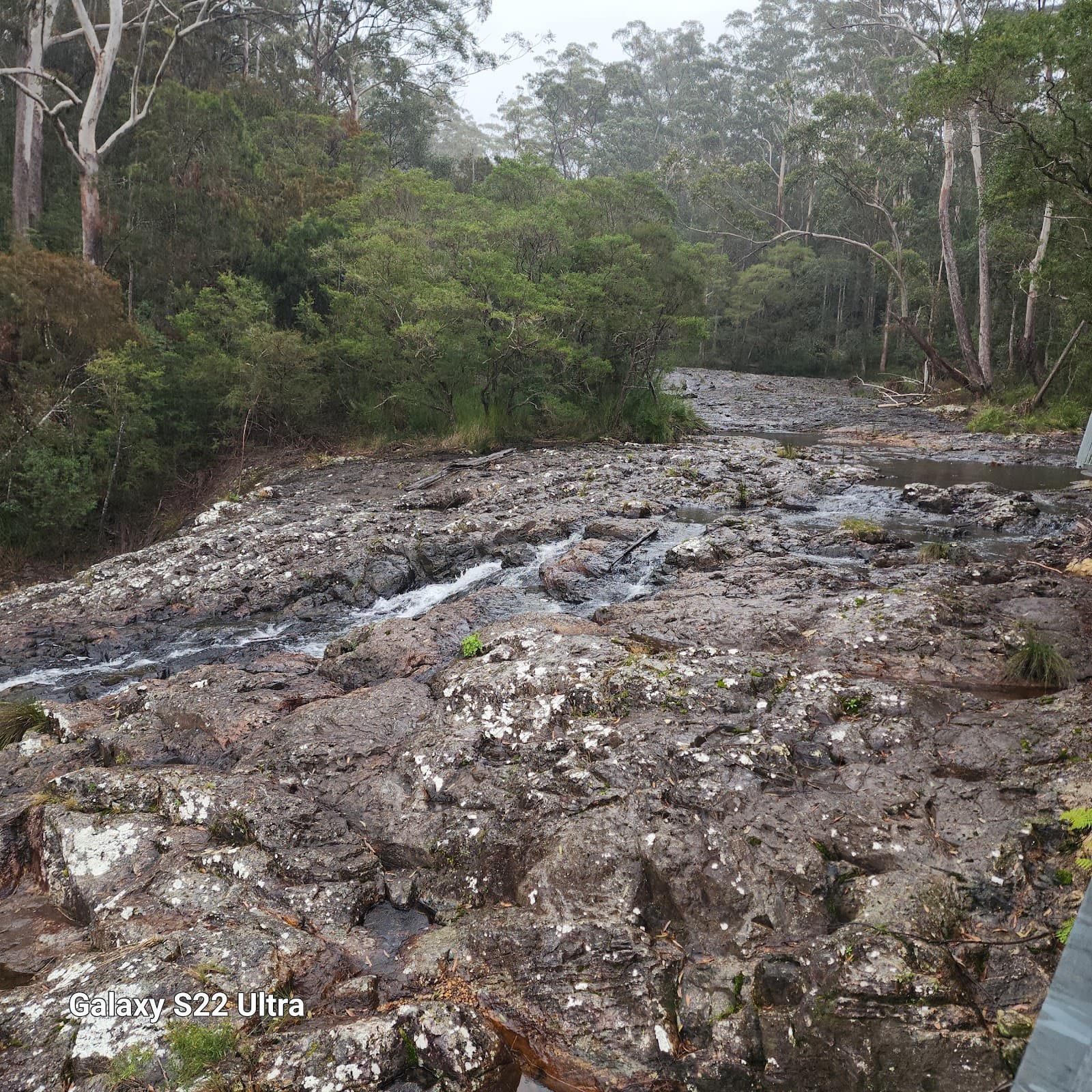 Minyon Falls walking track — Mullumbimby, Byron Bay