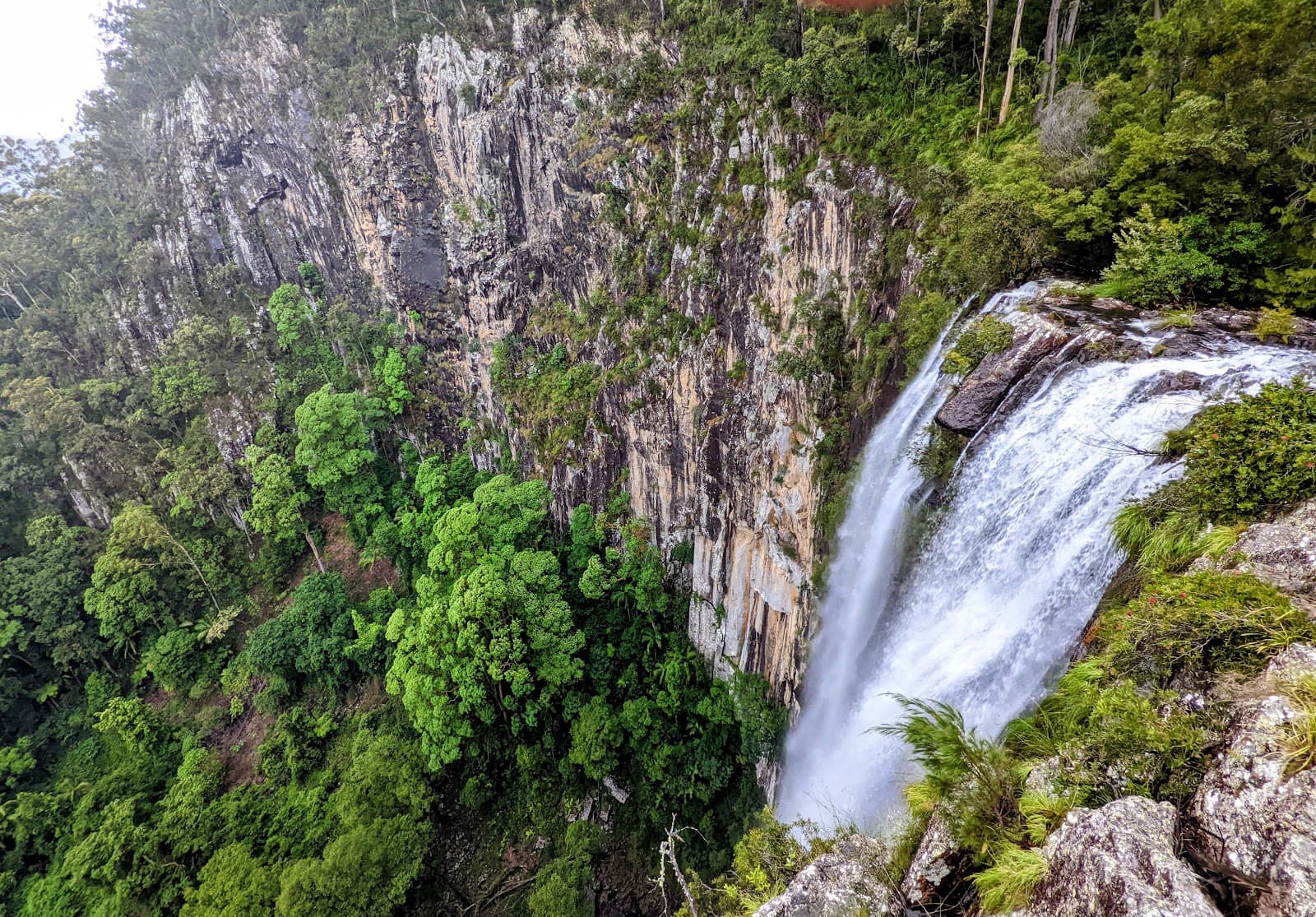 Minyon Falls Lookout — Mullumbimby, Byron Bay