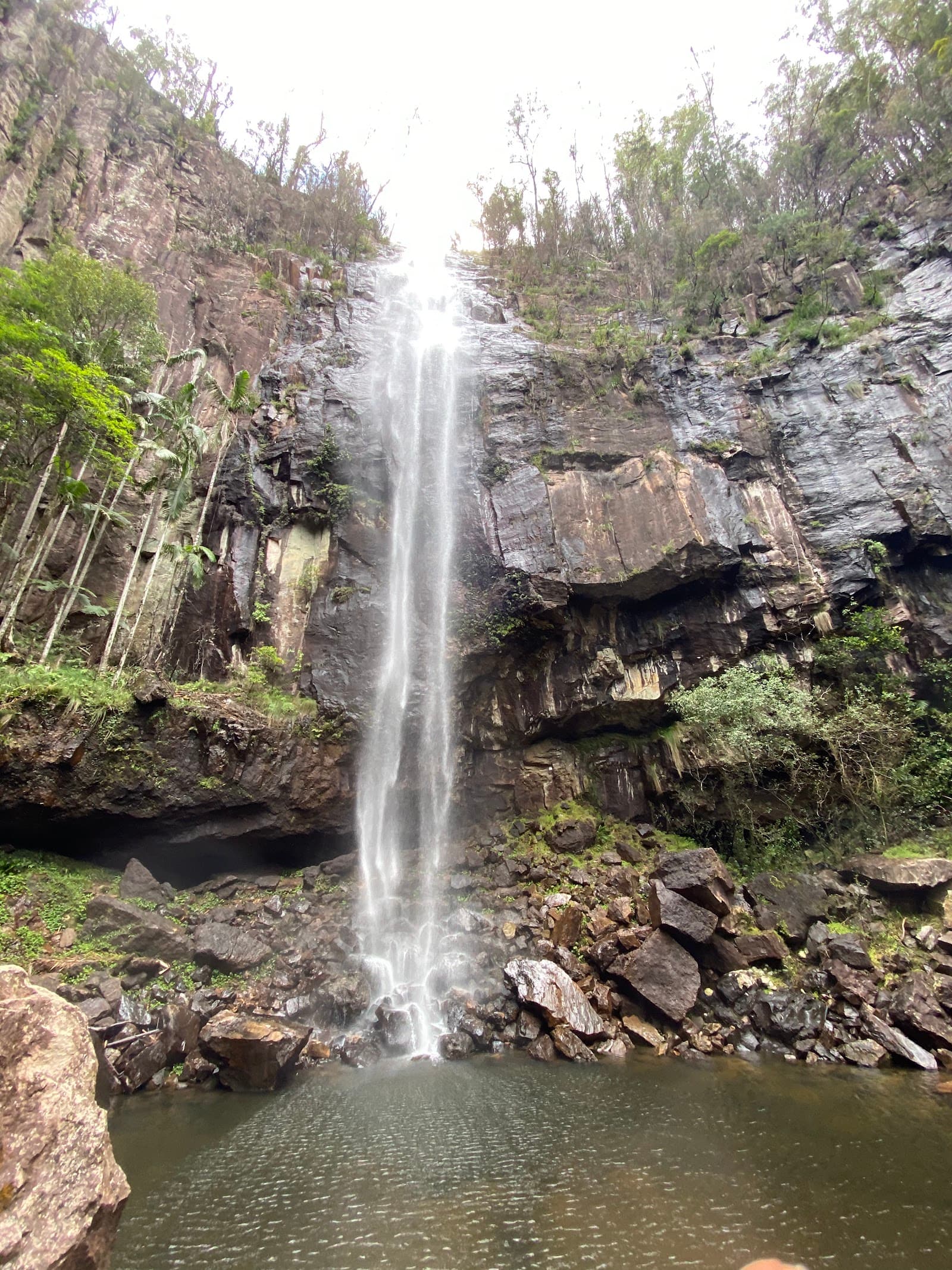 Protesters Falls walking track — Ballina, Byron Bay