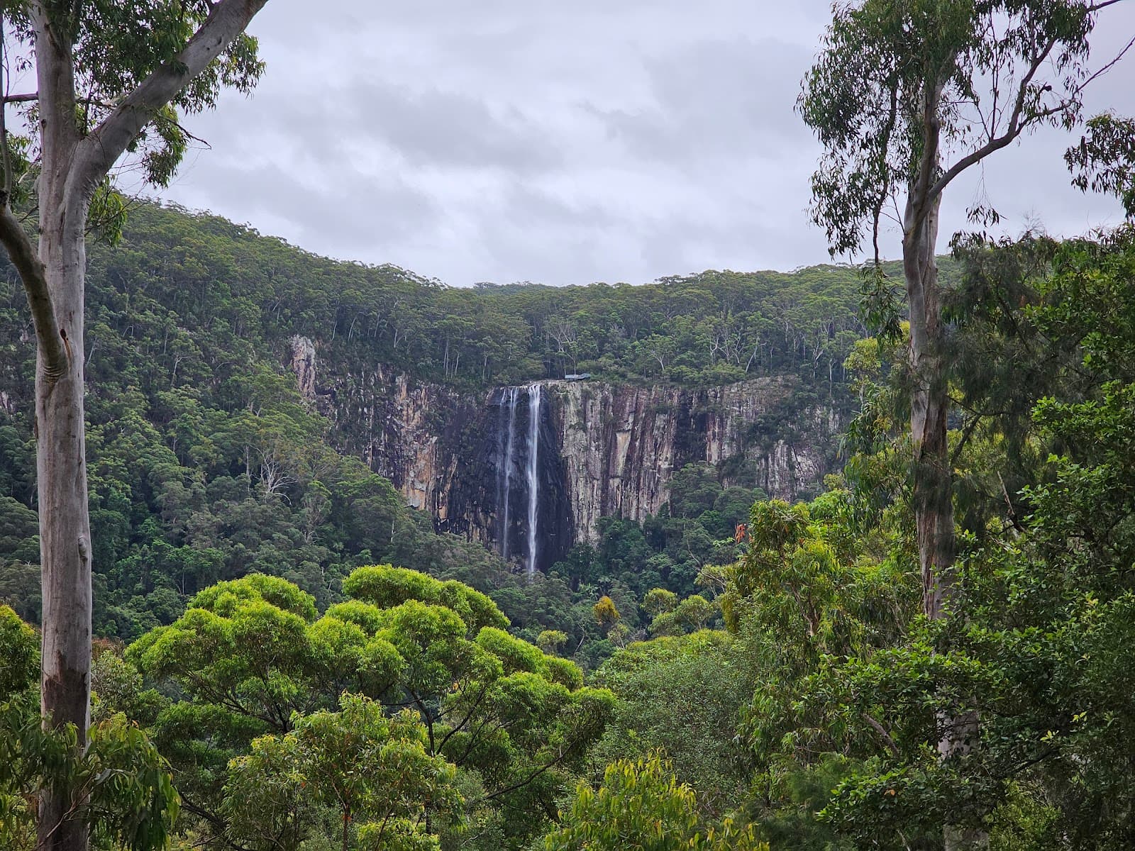 Minyon Grass picnic area — Ballina, Byron Bay
