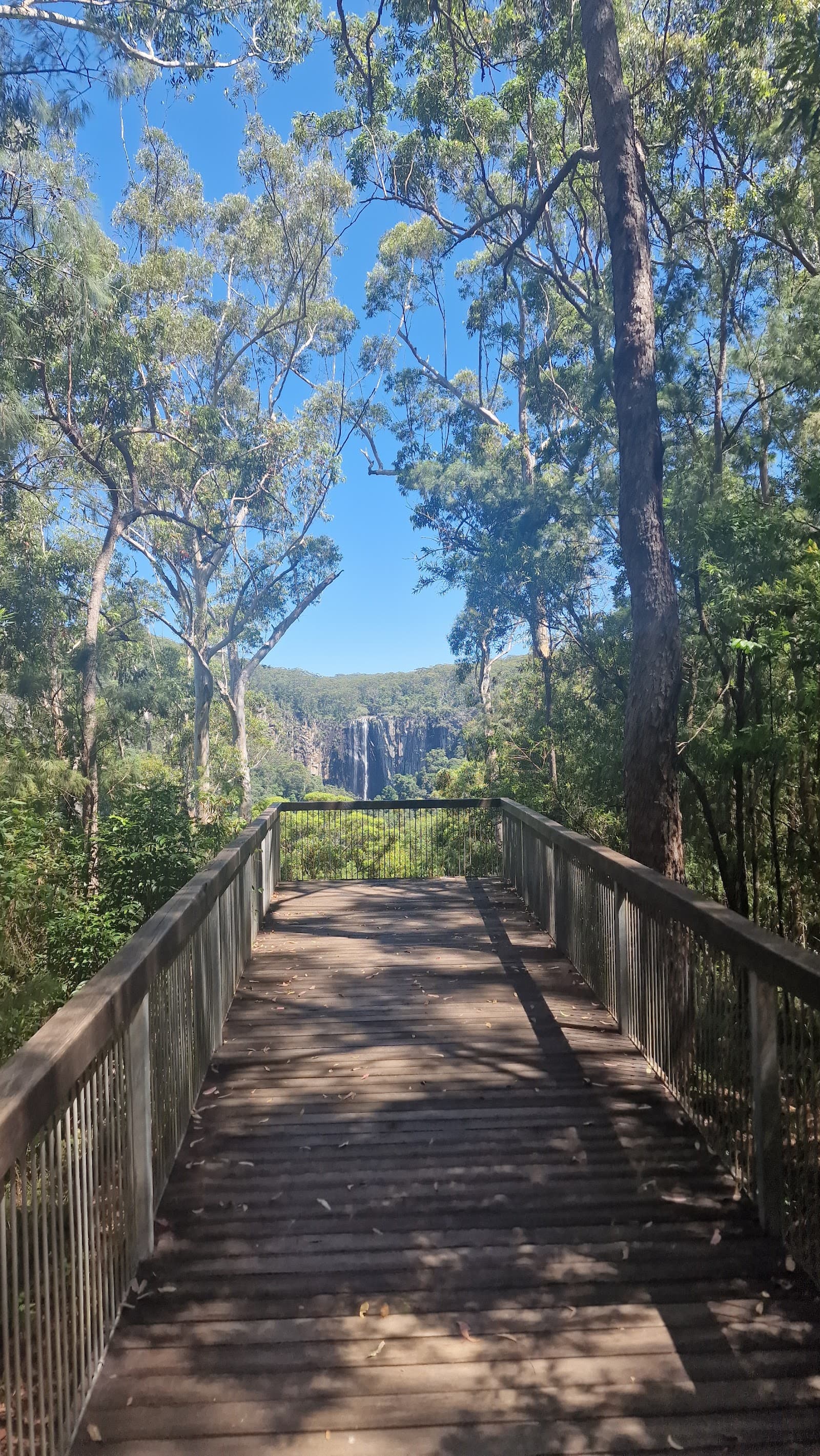 Minyon Grass picnic area — Ballina, Byron Bay