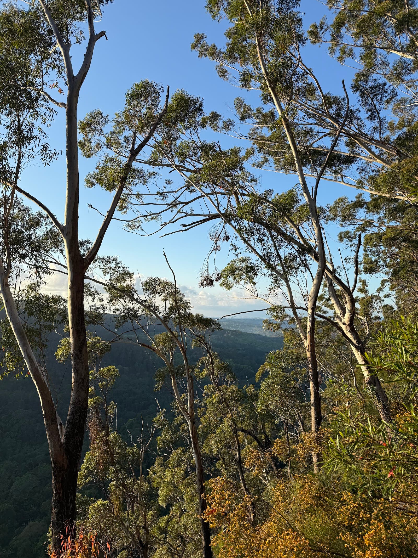 Gidjuum Gulganyi Walk — Ewingsdale, Byron Bay