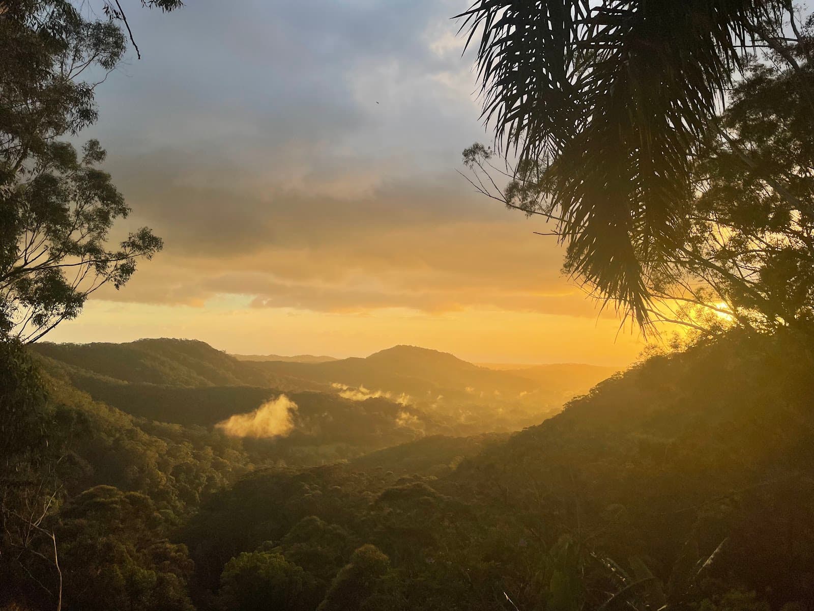 Inner Pocket Nature Reserve — Mullumbimby, Byron Bay