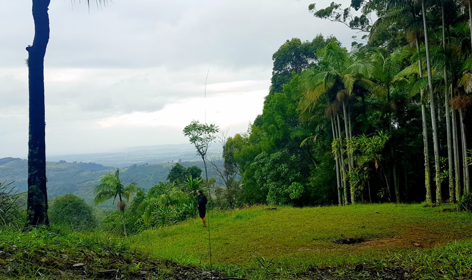 Inner Pocket Nature Reserve — Mullumbimby, Byron Bay
