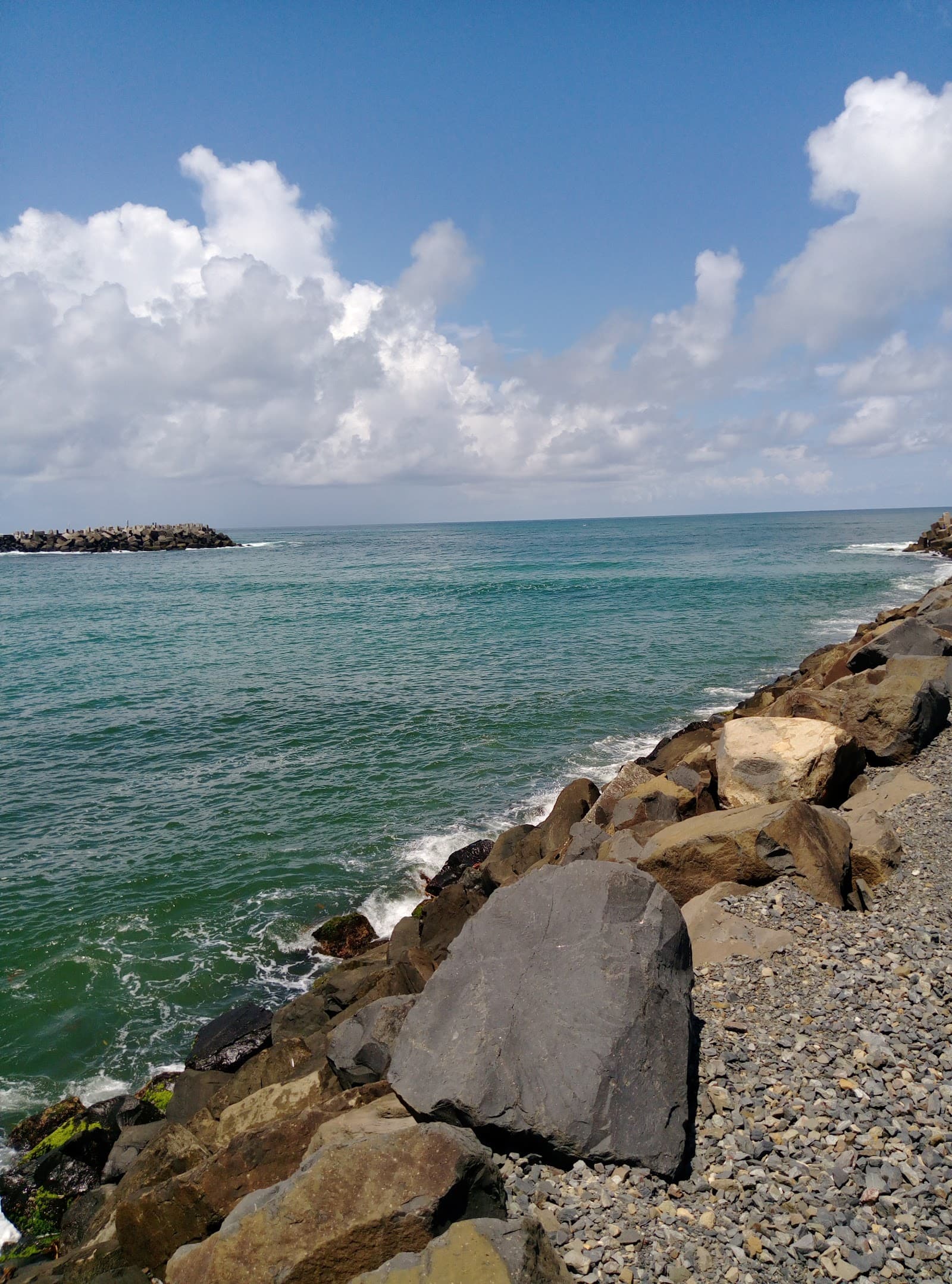 Richmond River Nature Reserve — Ballina, Byron Bay