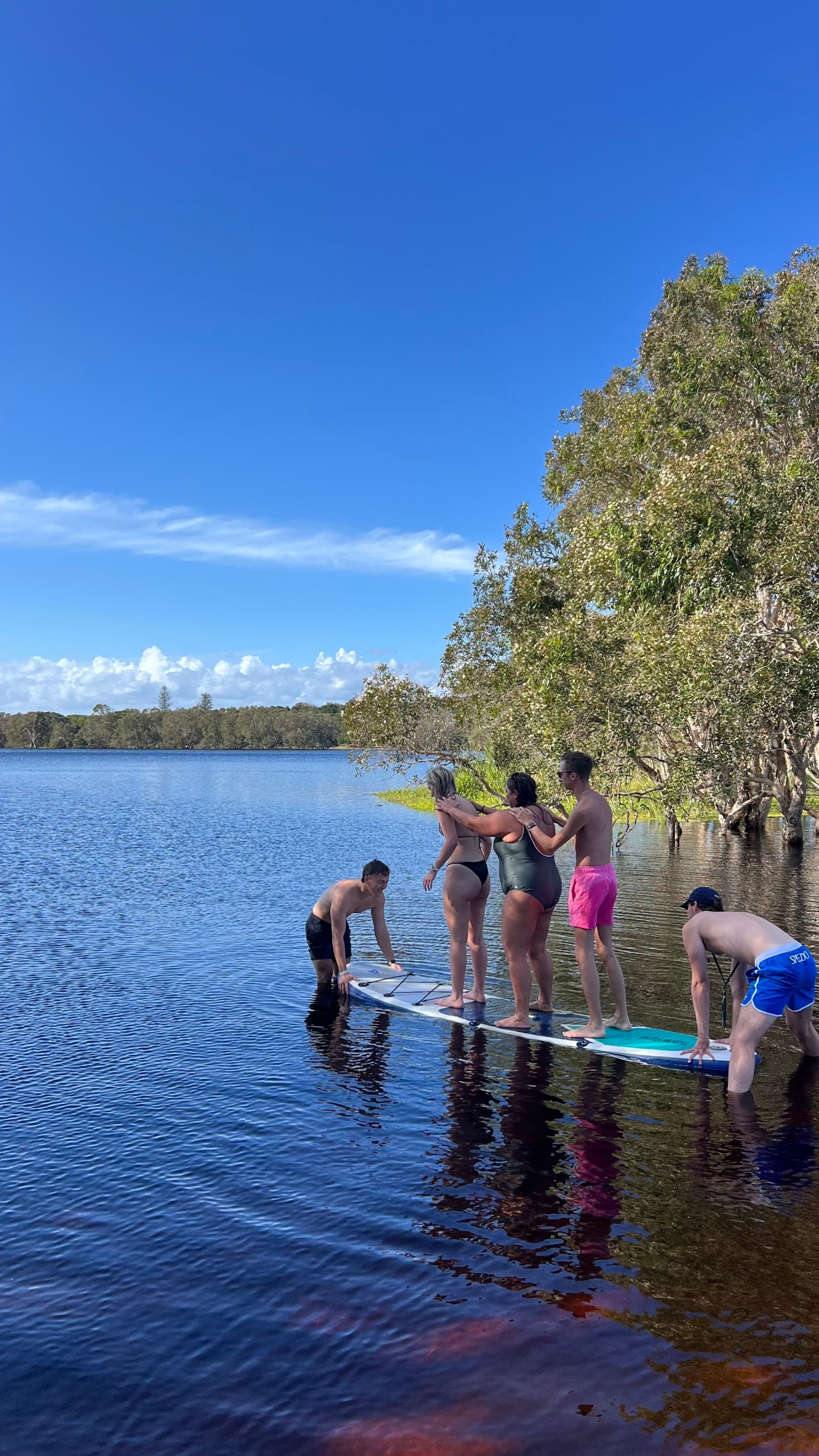 Behind the Bay — Ewingsdale, Byron Bay