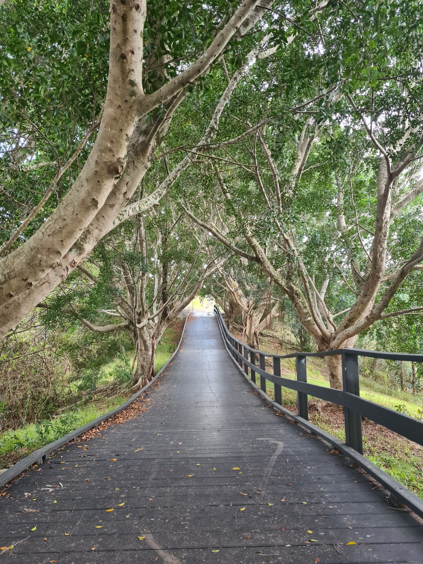 Lions Lookout , Devines Hill — Ocean Shores, Byron Bay