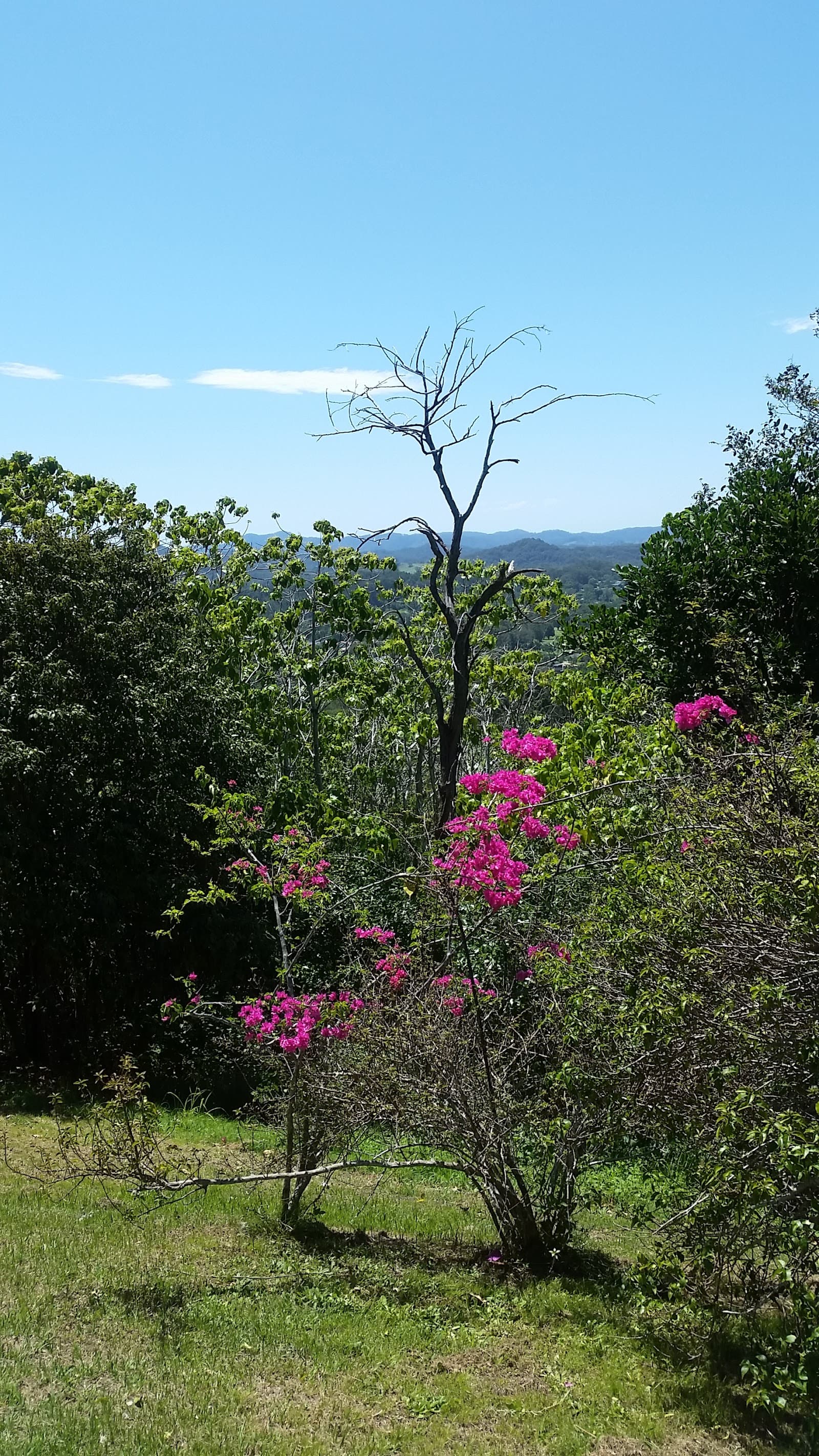 Lions Lookout , Devines Hill — Ocean Shores, Byron Bay