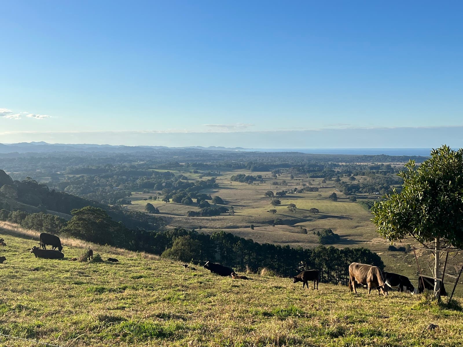 St Helena lookout — Ocean Shores, Byron Bay