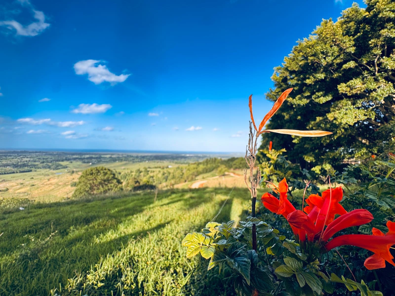 St Helena lookout — Ocean Shores, Byron Bay