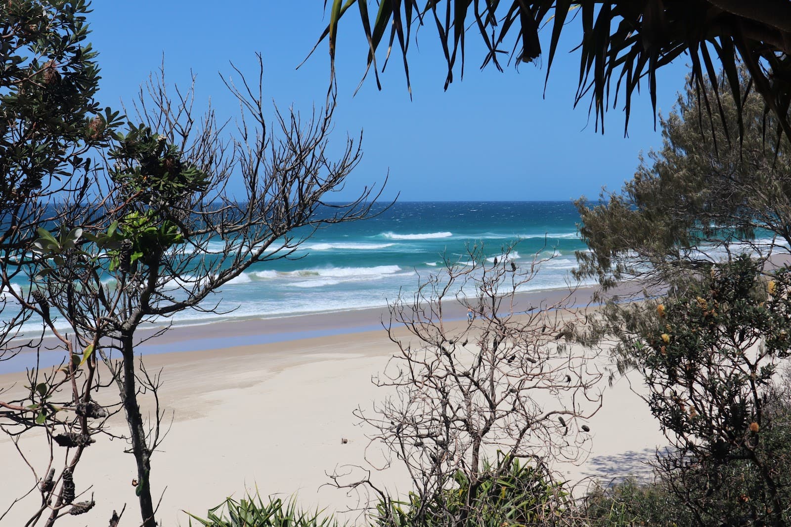 Peter Pyle Lookout — Ocean Shores, Byron Bay