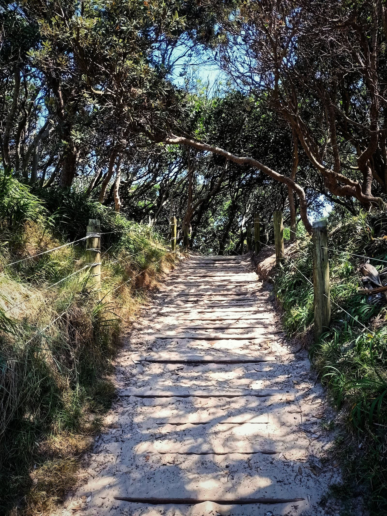 Peter Pyle Lookout — Suffolk Park, Byron Bay
