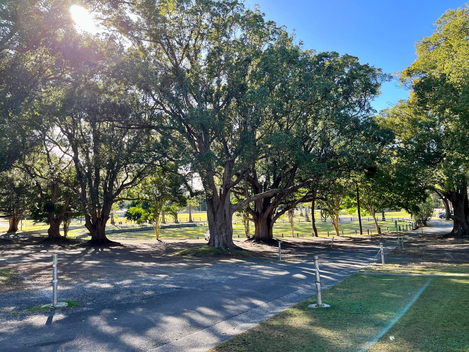Bangalow Showgrounds — Bangalow, Byron Bay