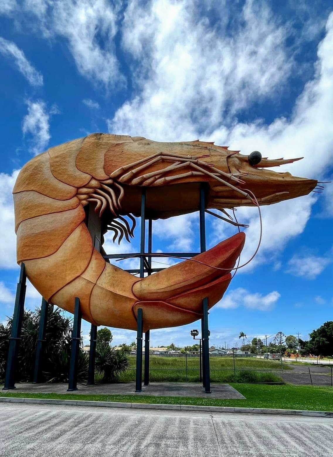 The Big Prawn — Ballina, Byron Bay