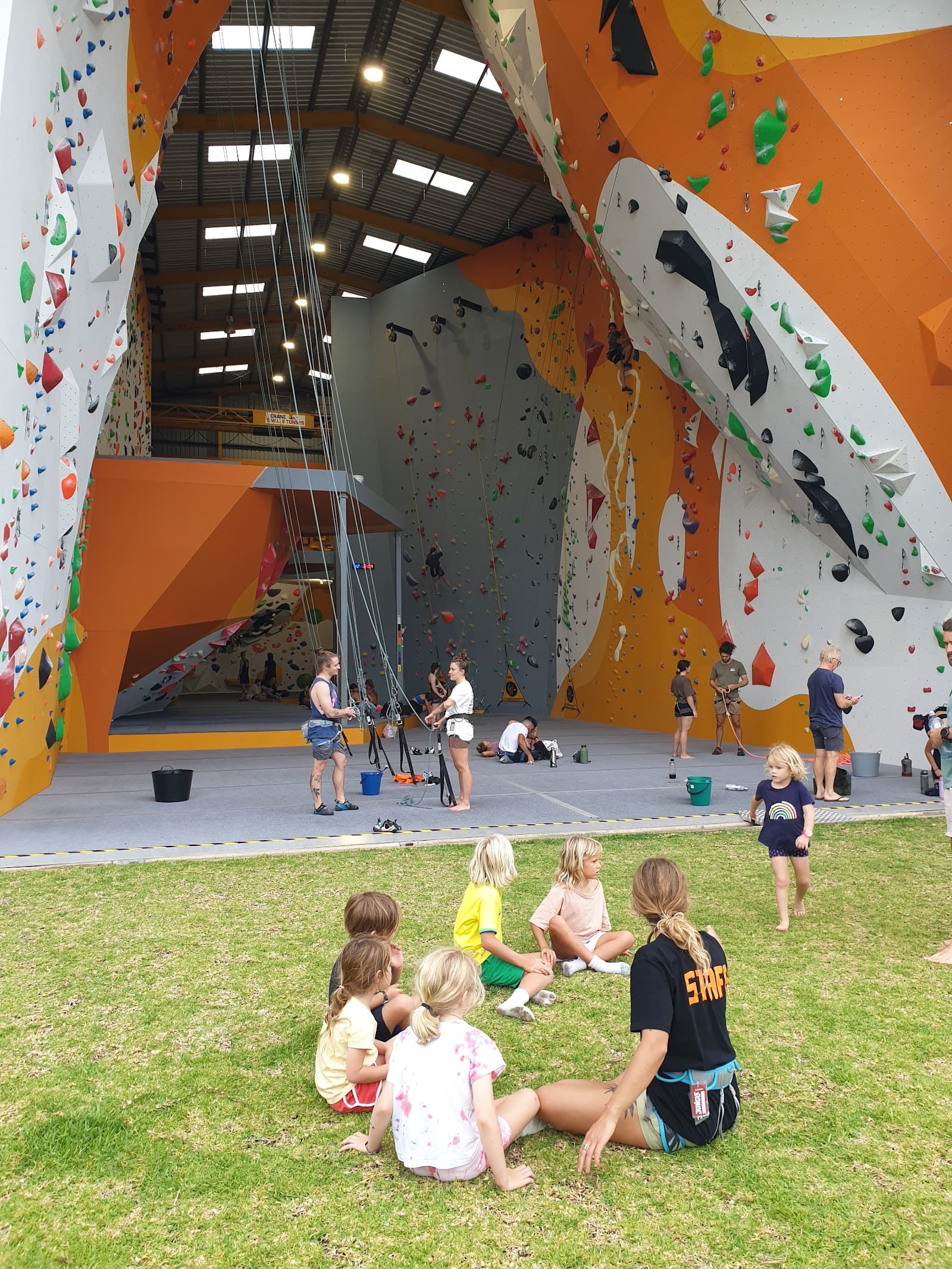 Jungle Ballina — Ballina, Byron Bay