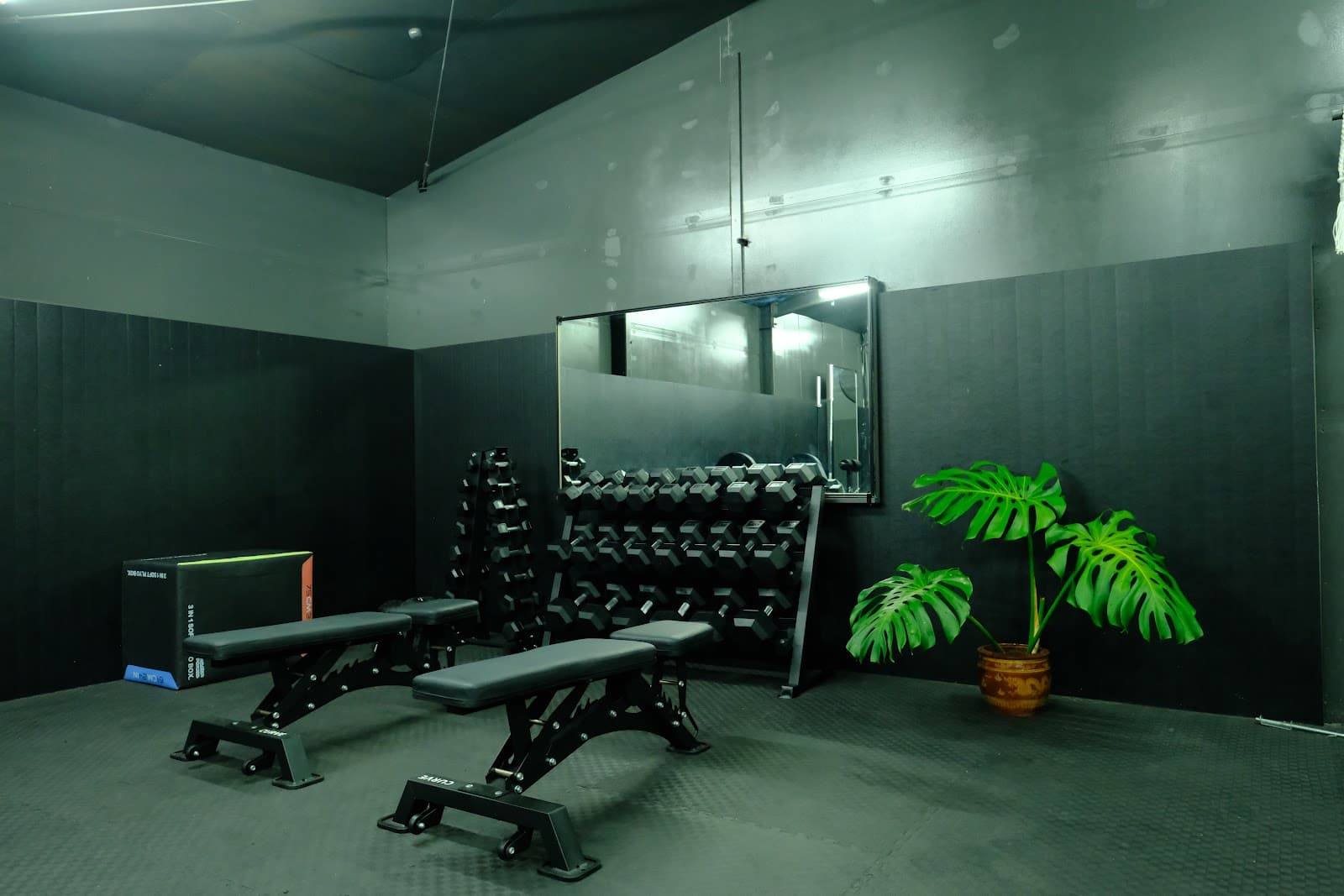 Evolution Active — Tyagarah, Byron Bay
