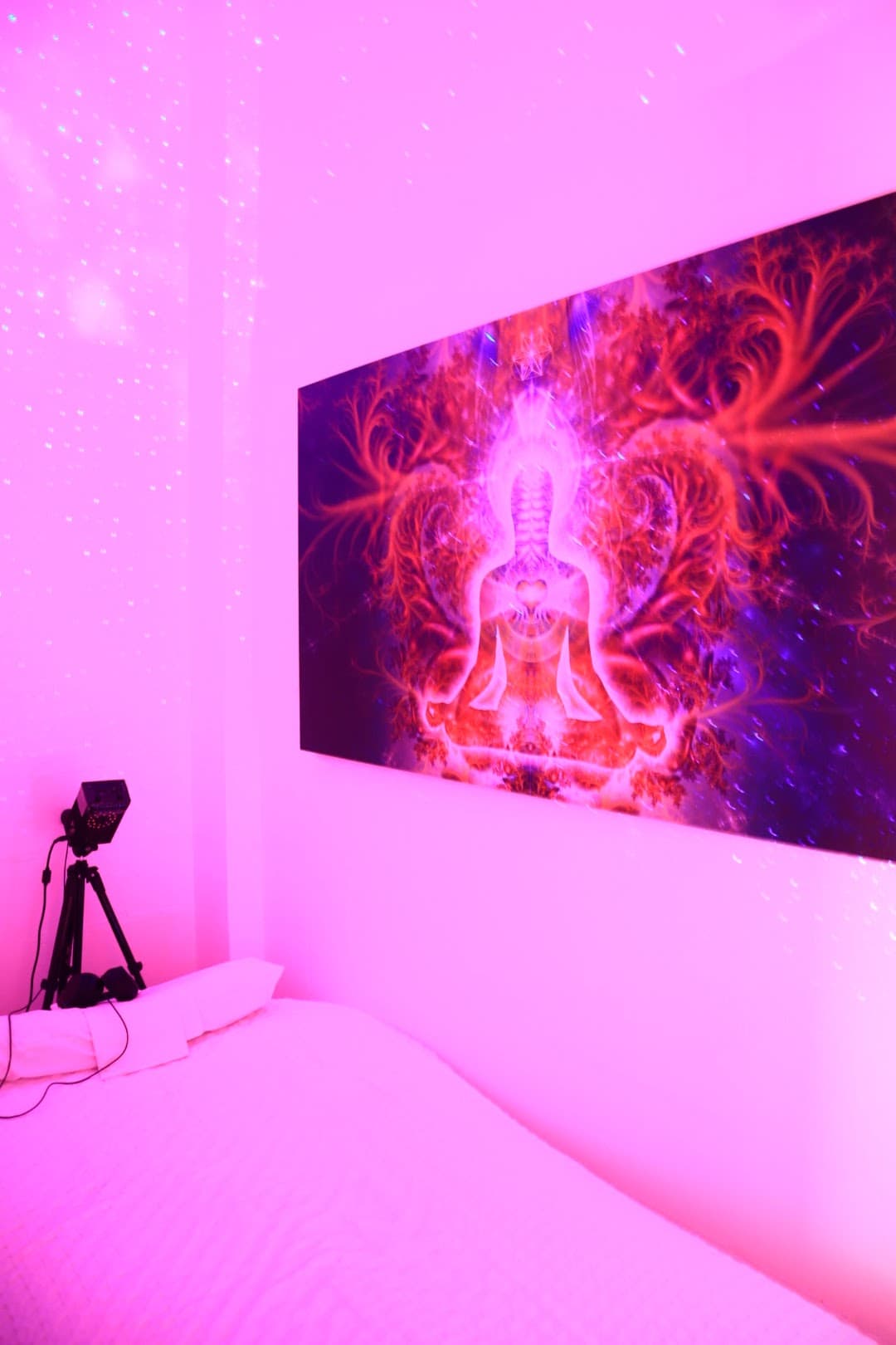 Quantum Uplift — Suffolk Park, Byron Bay