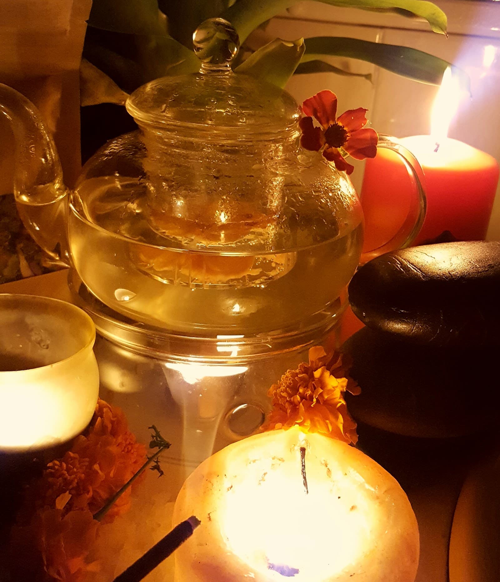 Suffolk Park Massage — Suffolk Park, Byron Bay
