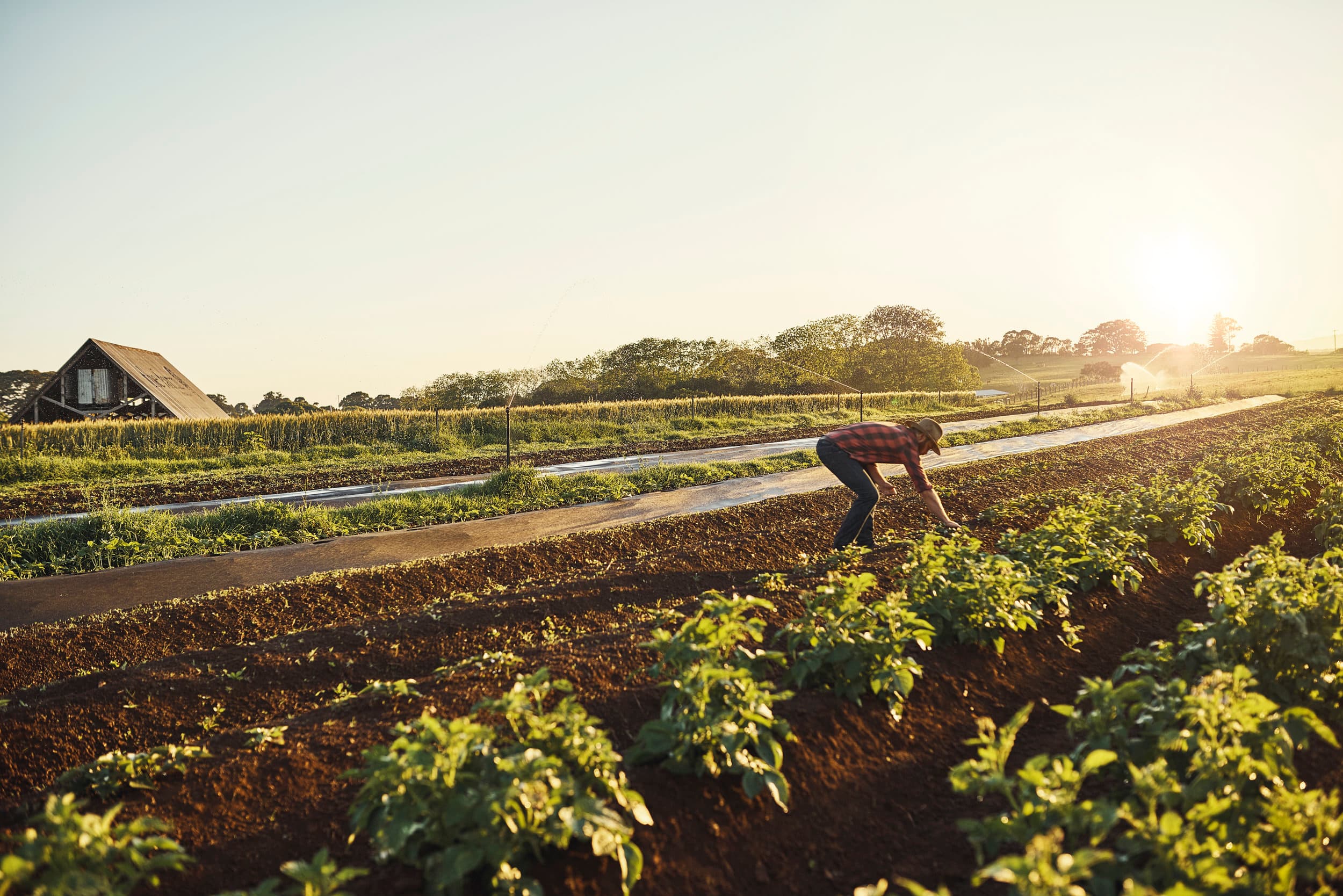 The Farm Byron Bay