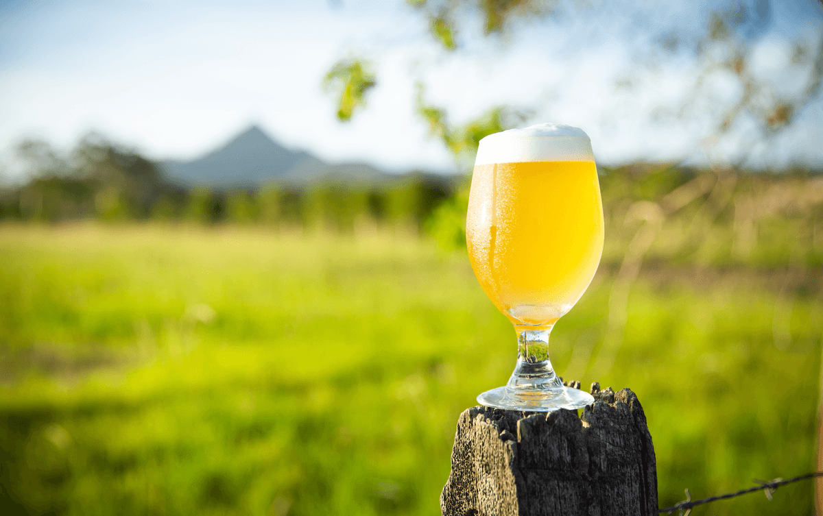 Wandana Brewing Co.