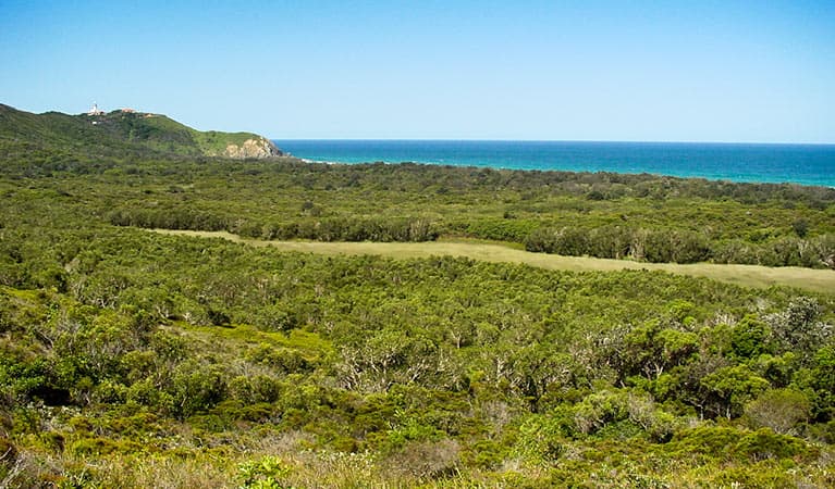 Arakwal National Park