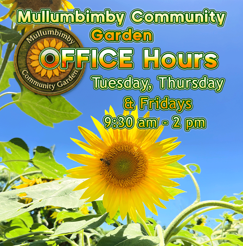 Mullumbimby Community Garden