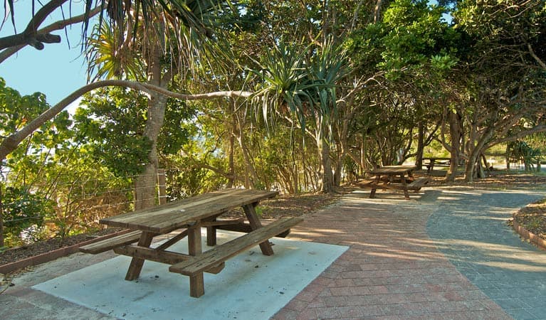 12 Best Beaches Near Byron Bay for Swimming, Surfing and Coastal Walks