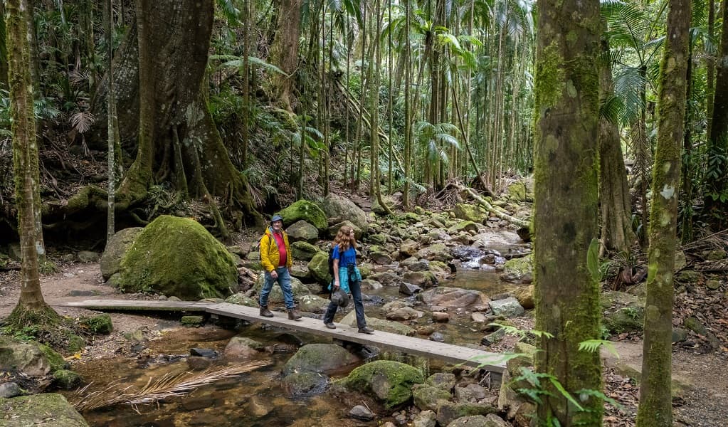 Protesters Falls walking track