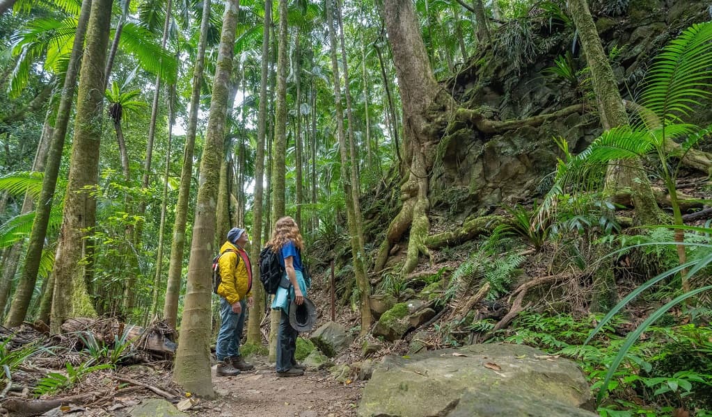 Protesters Falls walking track