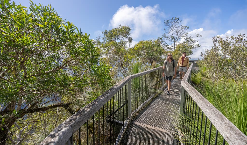 Pinnacle Walk & Lookout