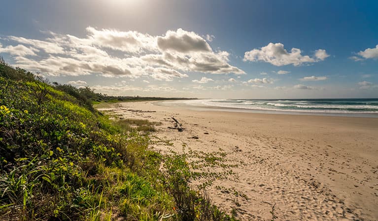 Brunswick Heads Nature Reserve