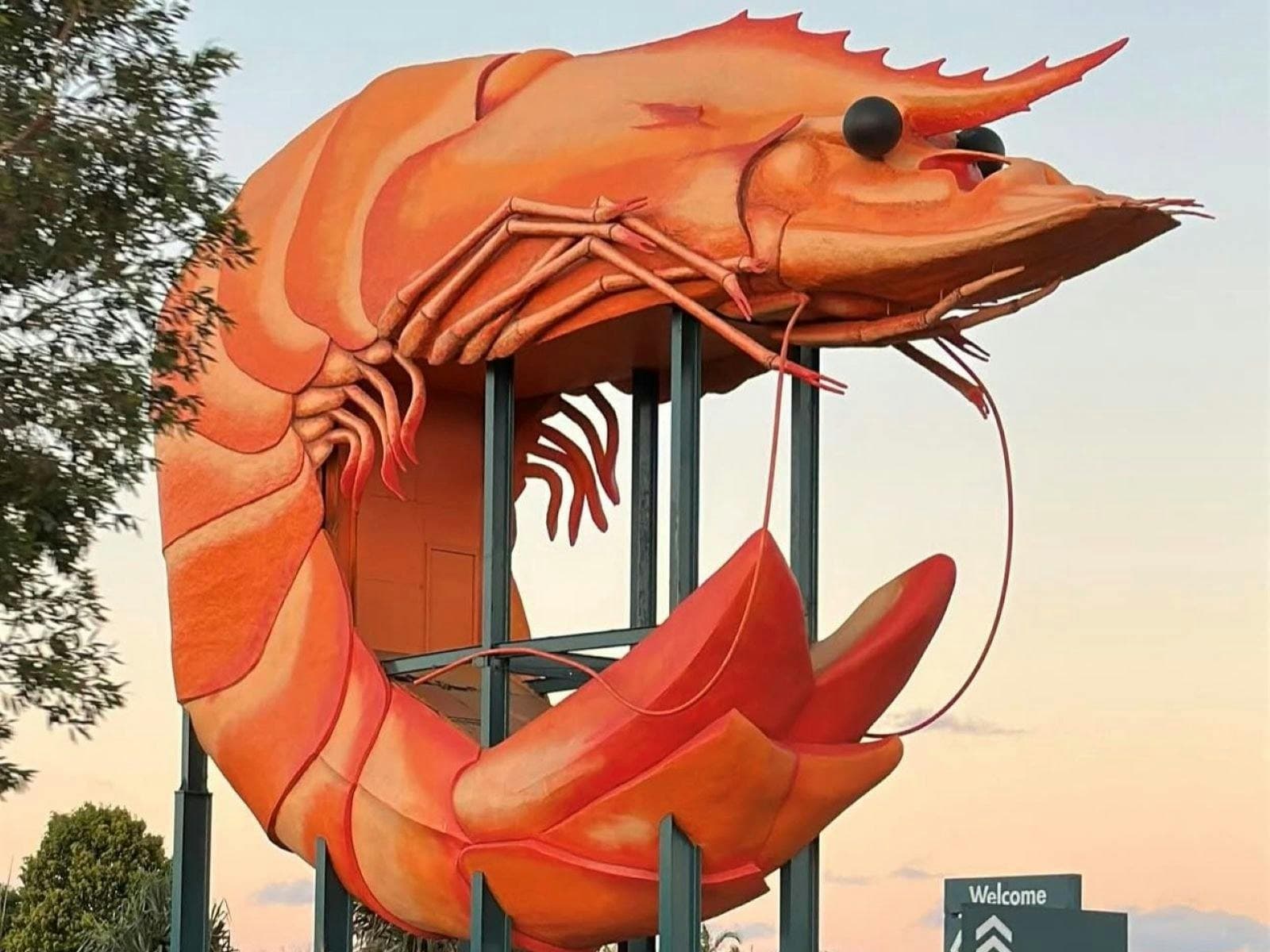 The Big Prawn